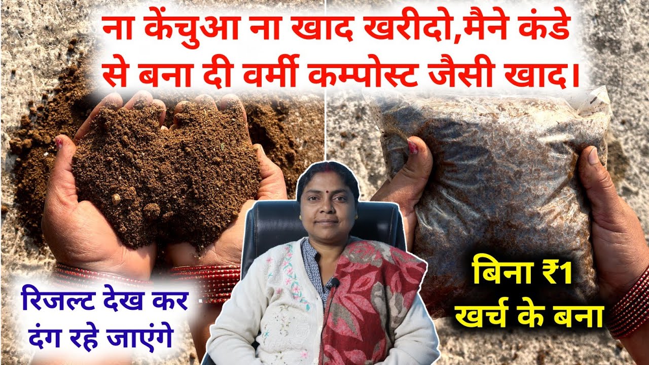 अब बाजार से मत खरीदो Vermicompost | घर पर बिल्कुल मुफ्त में बनाएं | How To Make Vermicompost at Home