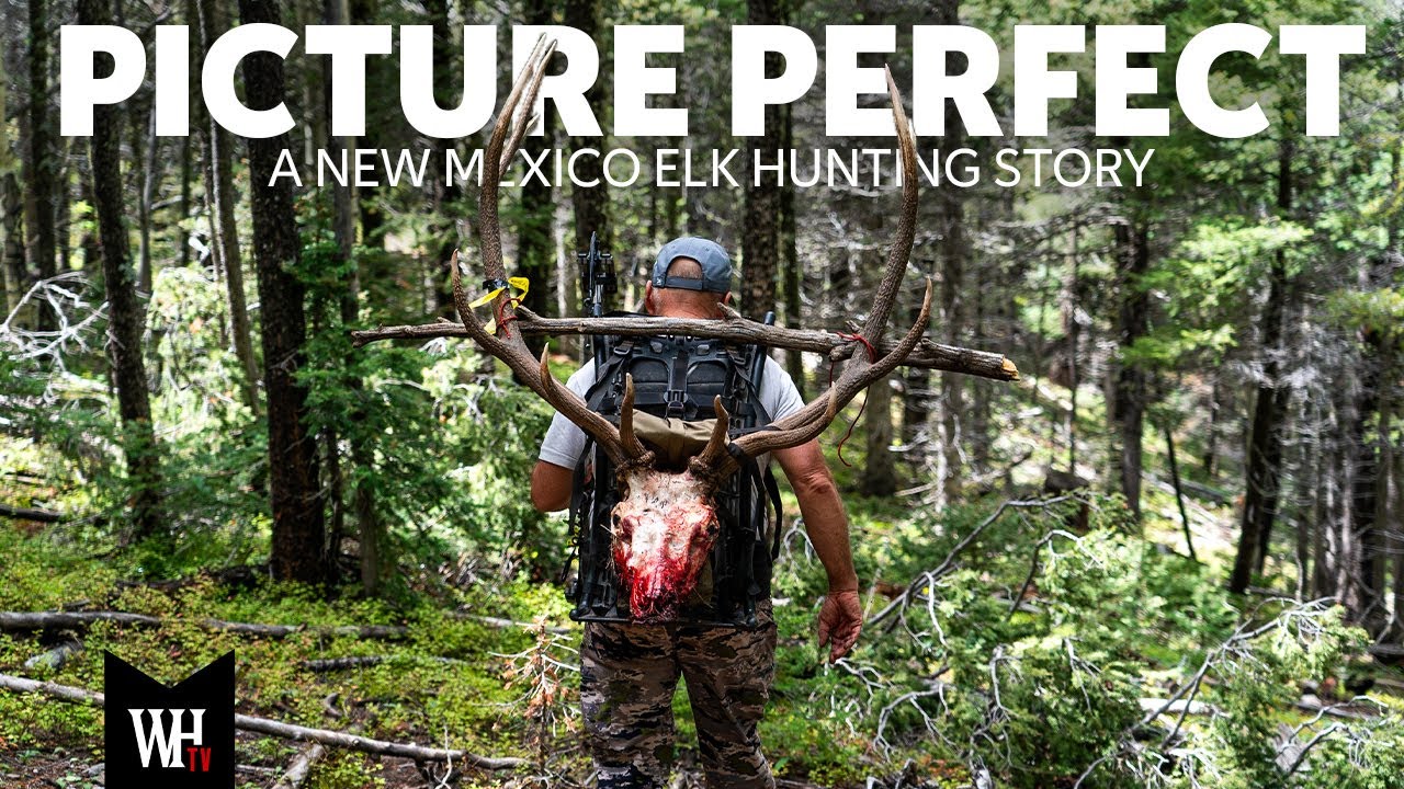 Picture Perfect | An Archery Elk Hunting Story With Chris Denham
