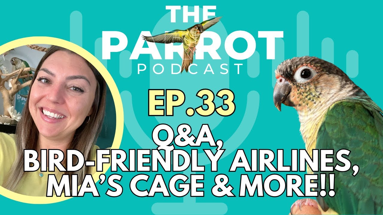Best Parrot Cages and Bird Travel | The Parrot Podcast #33
