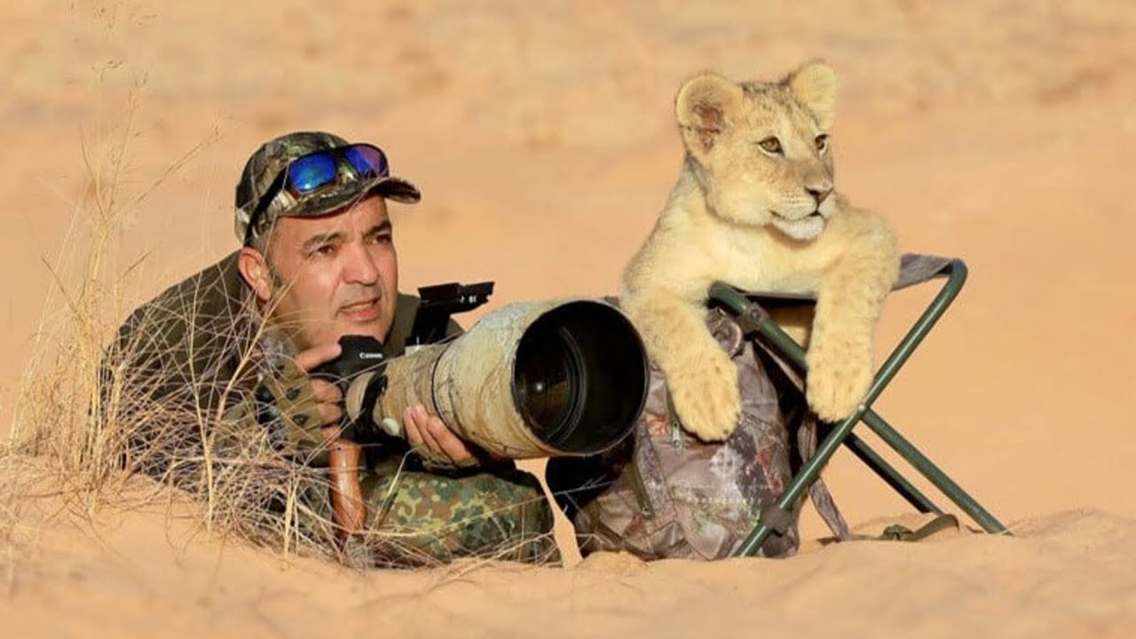 Vahşi Hayvanlar Fotoğrafçıları Beklenmedik Şekilde Şaşırttı!! #belgesel #hayvanlar