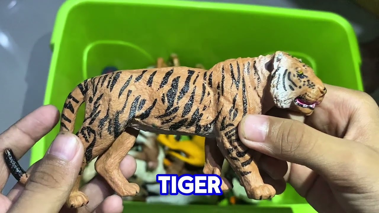 Animal Collection 