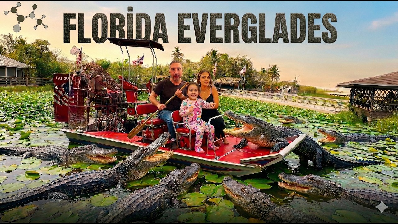 FLORİDA EVERGLADES 2025 4K