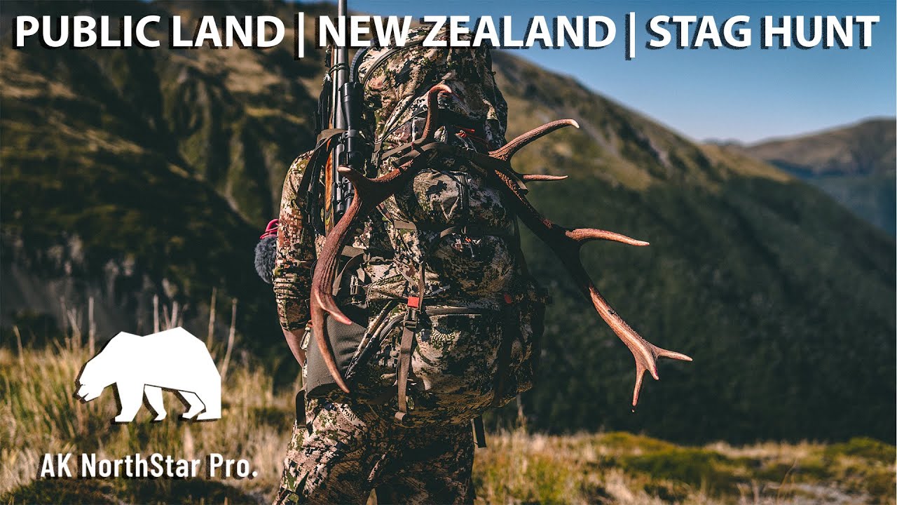 Public Land | New Zealand | Stag Hunt