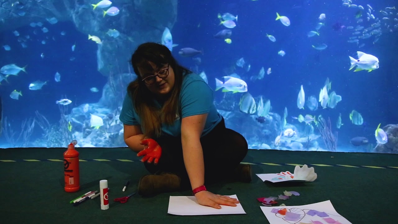 Crab Hands Craft - Aquarium Toddler Craft [Ep19]