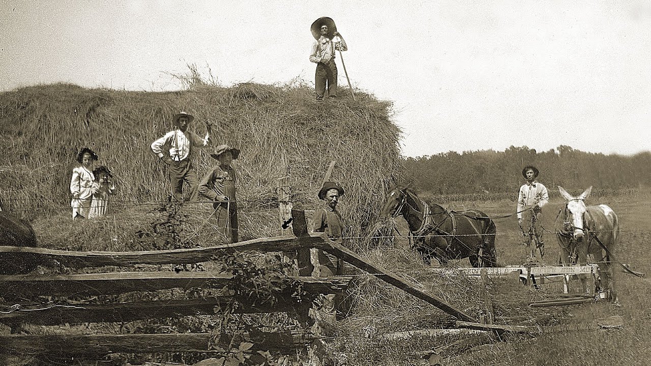 Life On A Midwestern Farm 1890 - 1910