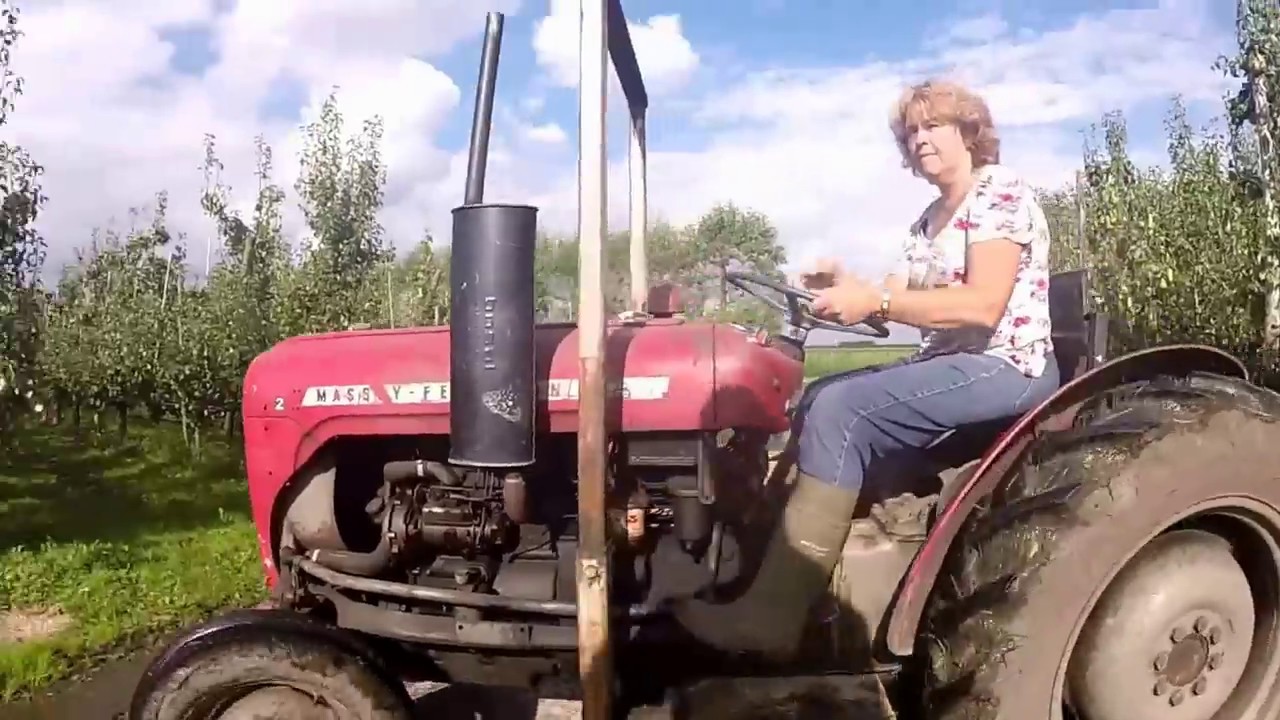 Fruitoogst 2014 Bijlsfruit