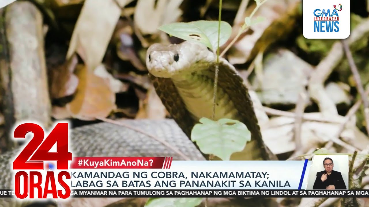 #KuyaKimAnoNa? - Cobra sa Gensan, patay matapos pagtulungang hampasin at buhusan... | 24 Oras