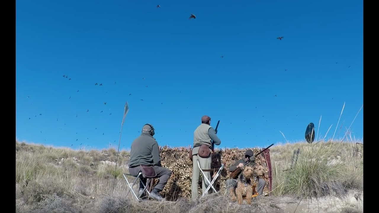 охоты на куропаток в Испании - Lomas de Fuensauco