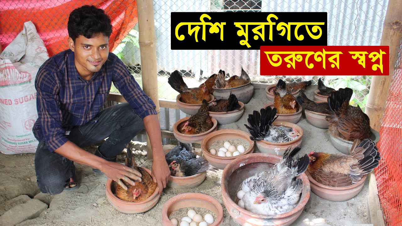 কতটা লাভজনক খামার - চাকরি ছেড়ে পরিকল্পিত ভাবে দেশি মুরগি পালনে স্বপ্ন দেখছে এই তরুণ উদ্যোক্তা...