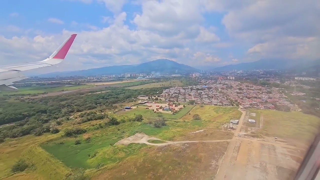 rosa pena ibague 2025