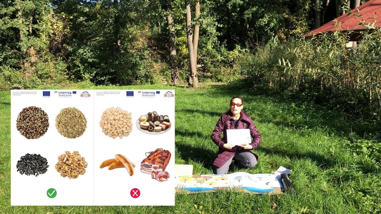 Kŕmidlá a zimné prikrmovanie