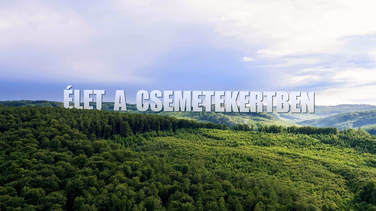 Élet a csemetekertben - 