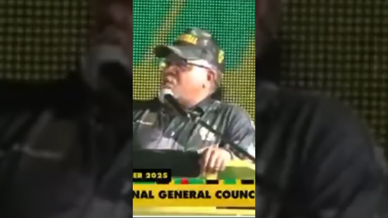 Fikile Mbalula has been booed in the ANC Youth league meetings