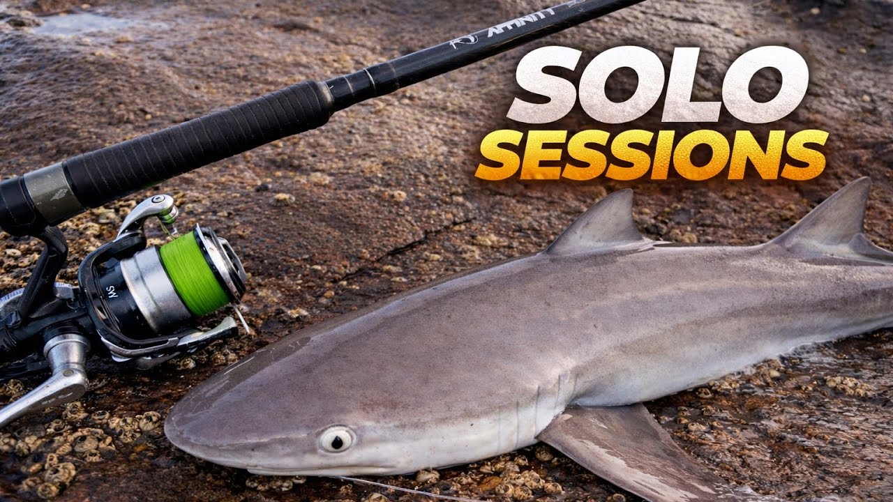 Grey Sharks Went CRAZY&hellip; Then the Shad Arrived!
