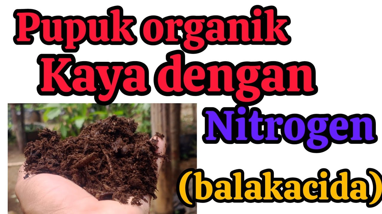 Luar biasa kompos balakacida 