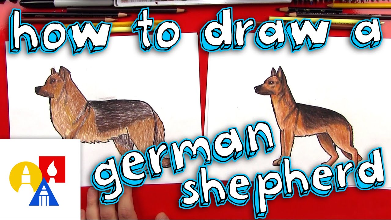 How To Draw A German Shepherd