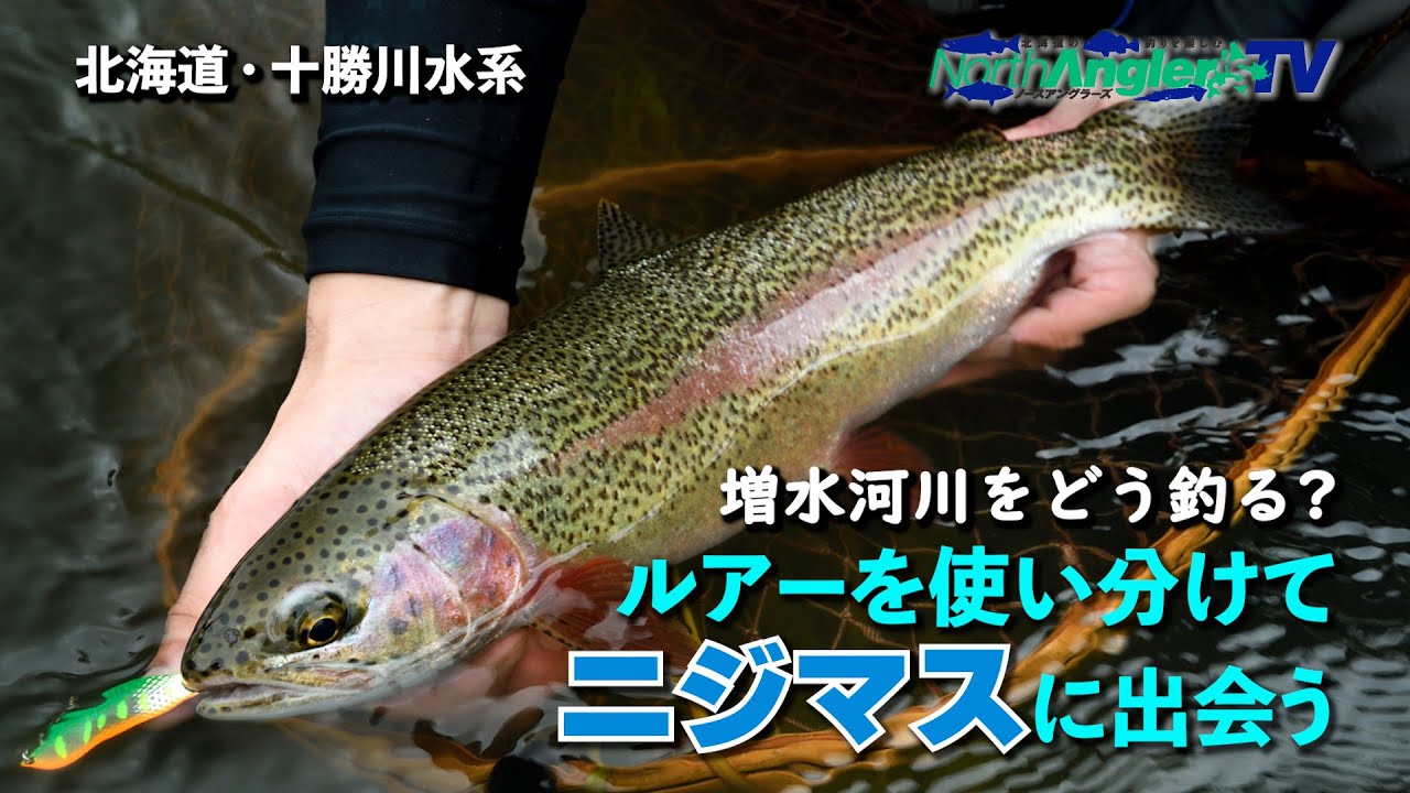 【北海道・十勝川水系】ルアーを使い分けて十勝のニジマスに出会う