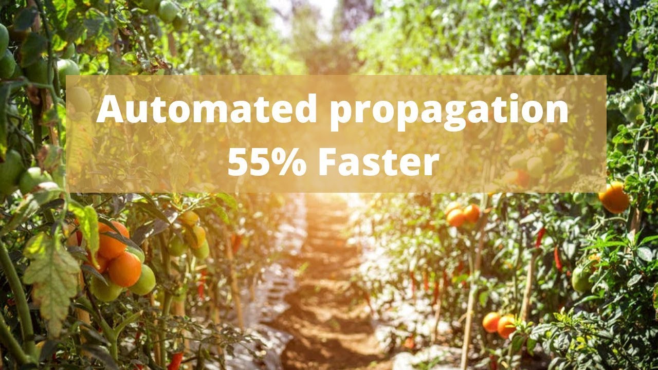 Automated propagation