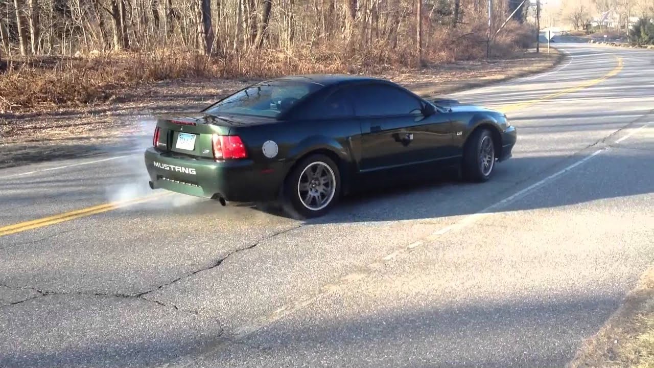 Best of Modular Mustangs Compilation