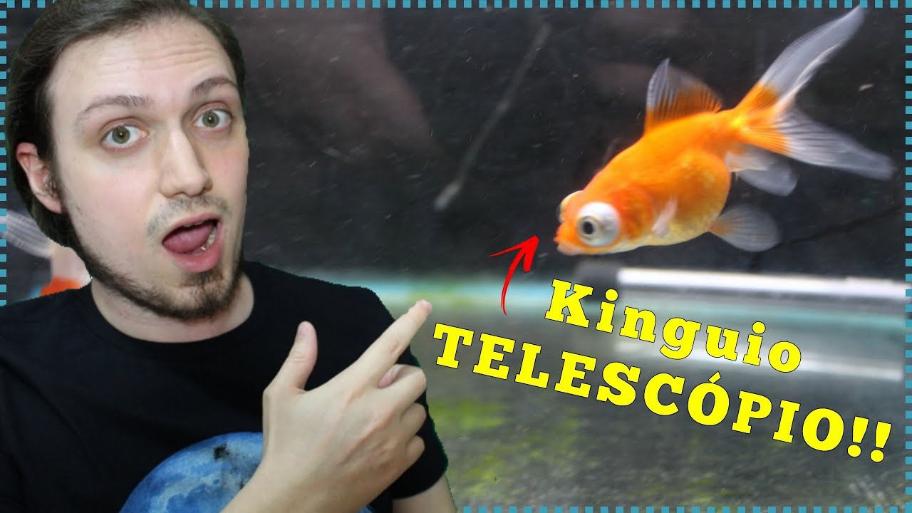 Coloquei um kinguio TELESCÓPIO no AQUÁRIO!