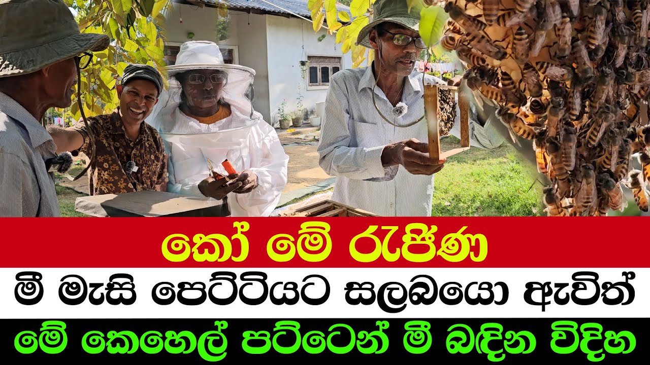 Where is the Queen of Crops | Hornets vs Bees – The Secret Battle