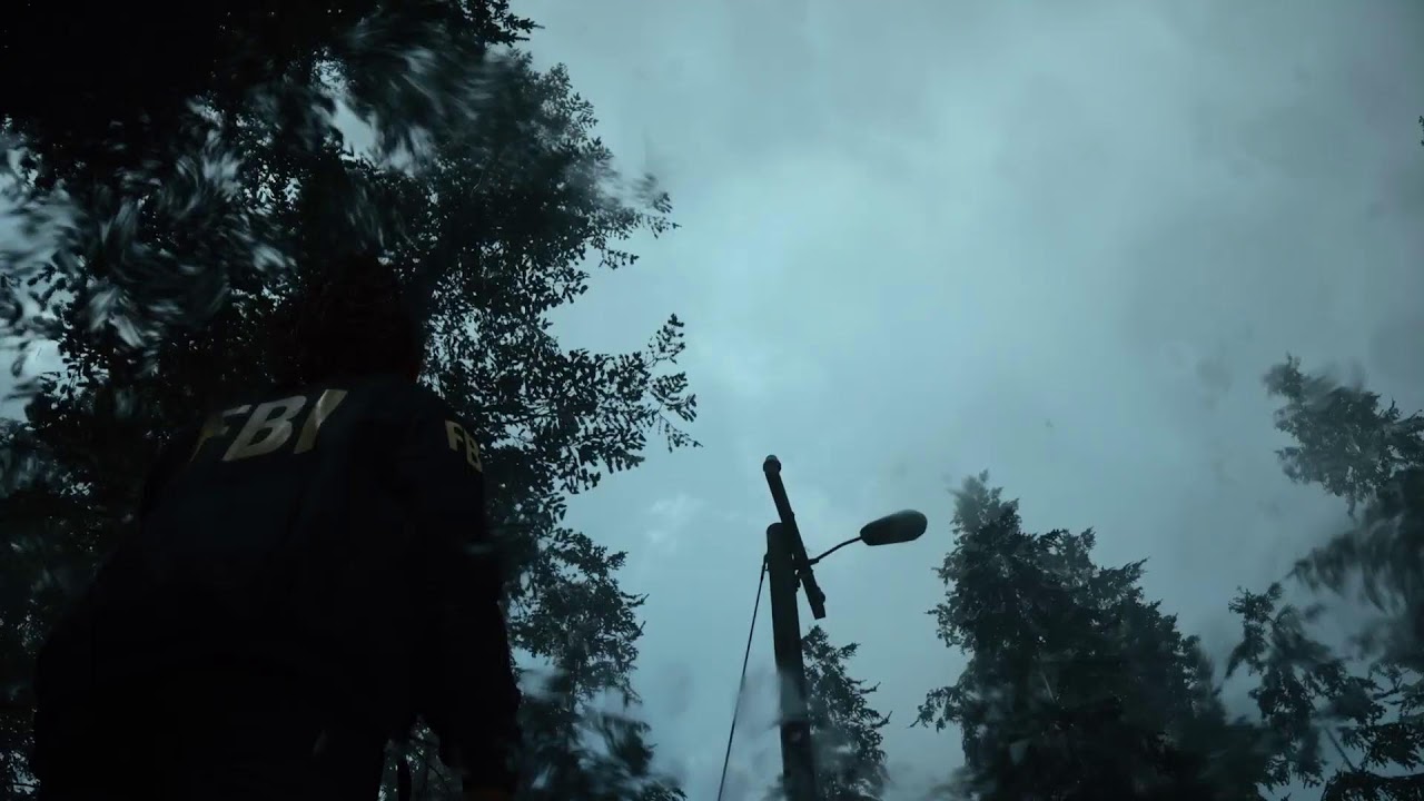 Alan Wake.....
