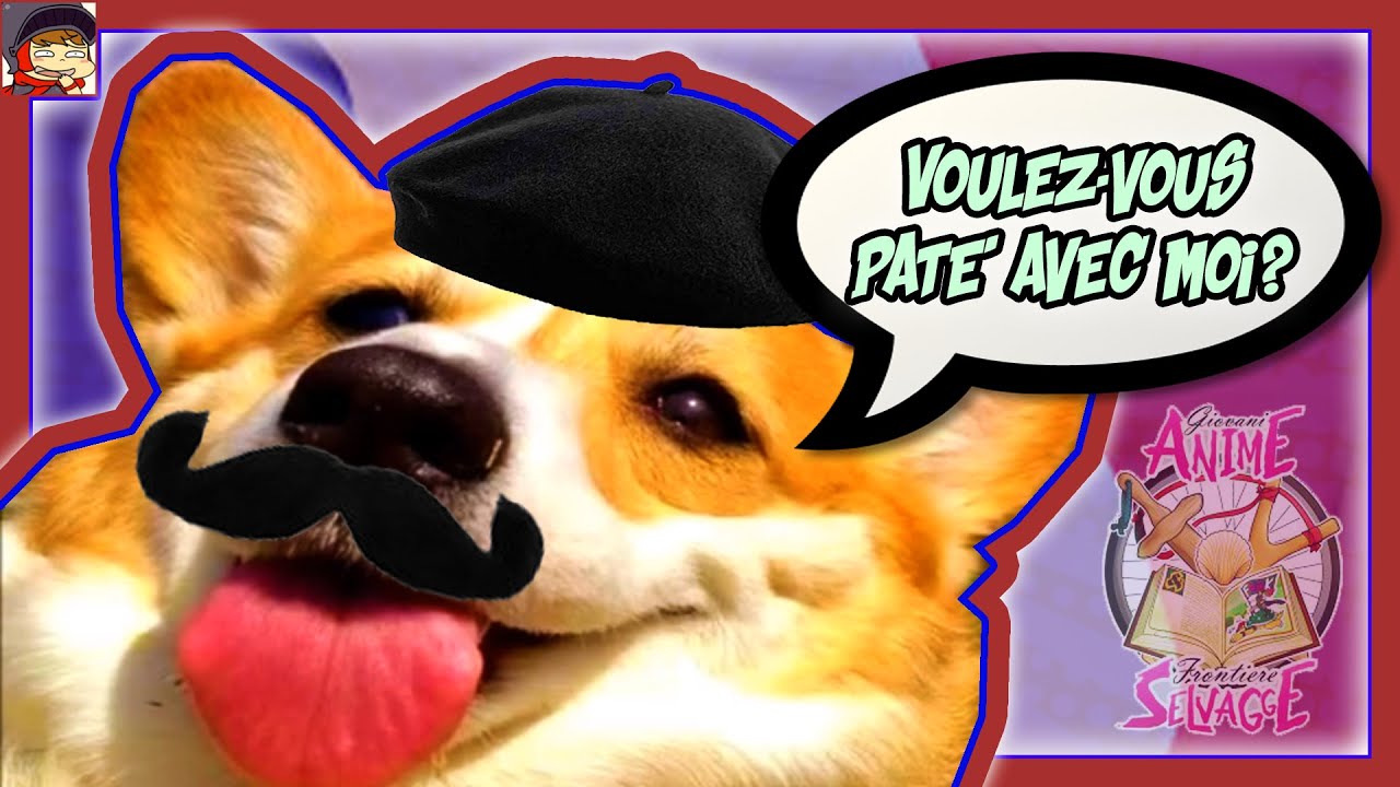 Anime Selvagge e dove trovarle