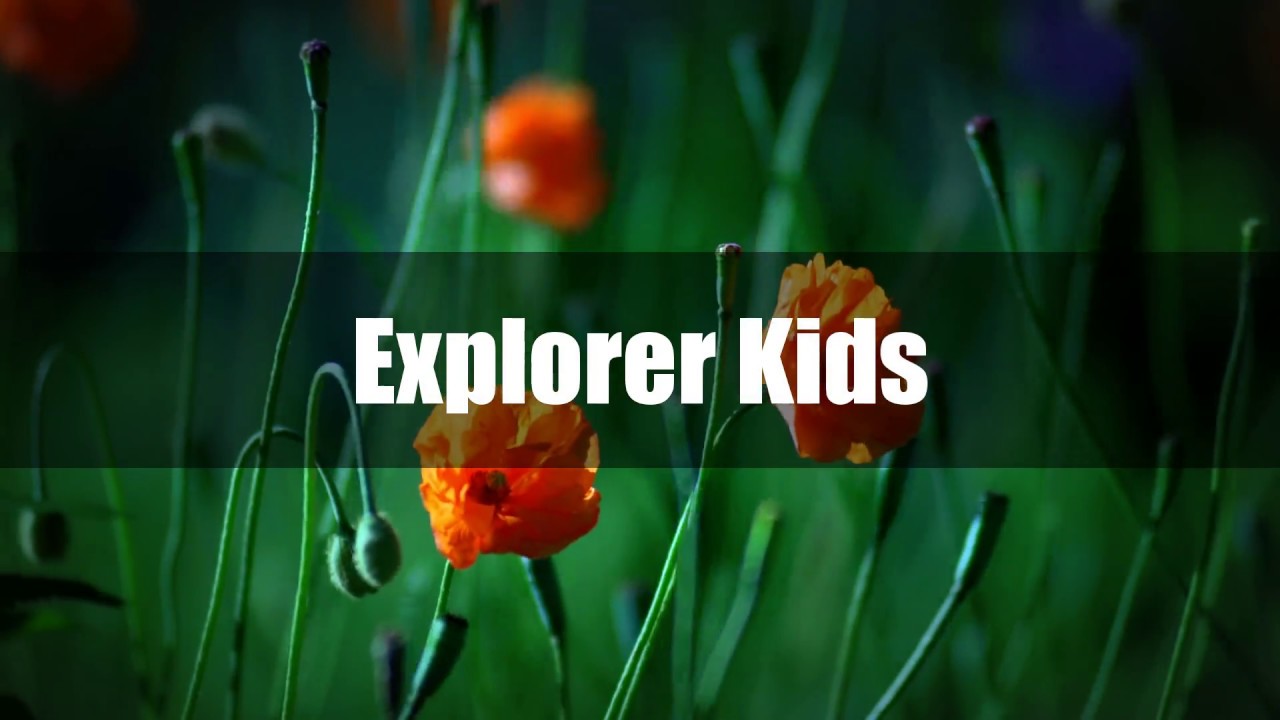 Friday's Inspiration Quote