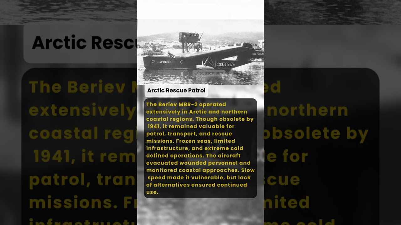Arctic Rescue Patrol