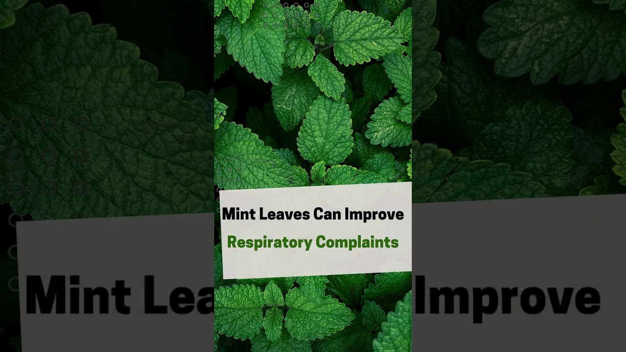 3 Health Benefits of Mint Leaves That You Should Know! #shorts