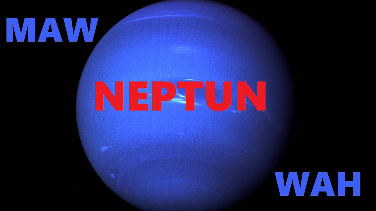 MAW x WAH - NEPTUN | COVER (OFFICIAL VIDEO) | Prod. Joezee Production