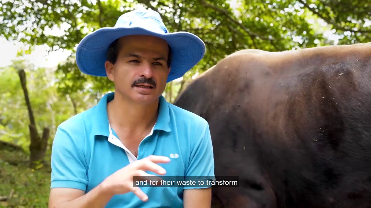 Working against Land Degradation in Costa Rica