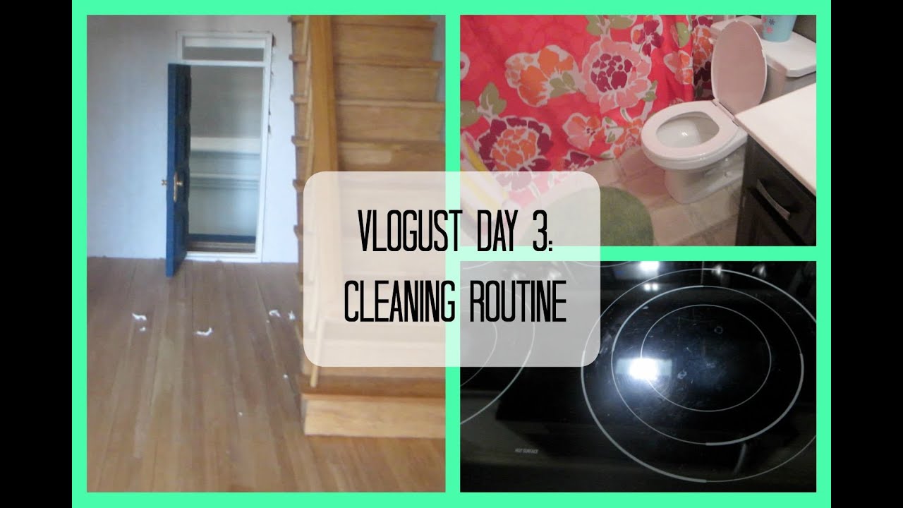 VLOGUST 2015| DAY 3: CLEANING ROUTINE! (HOUSEOFMEIS)