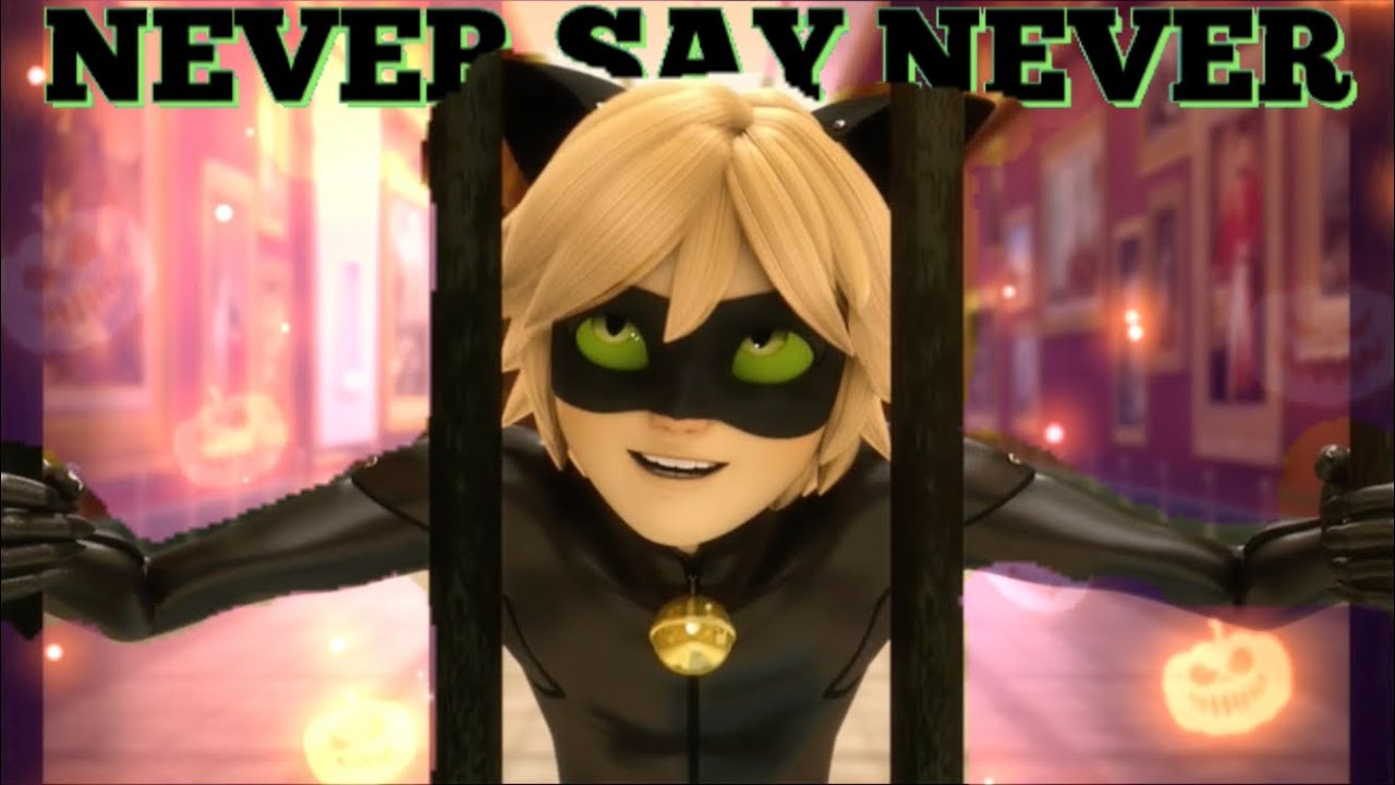Never Say Never - Cat Noir/Adrien Miraculous Ladybug Amv