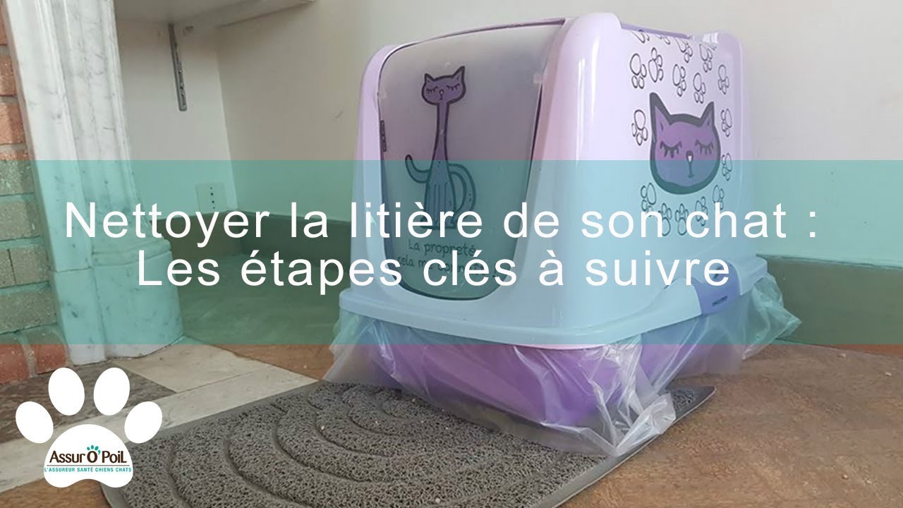 4 astuces pour nettoyer la litière de son chat | Assur O'Poil
