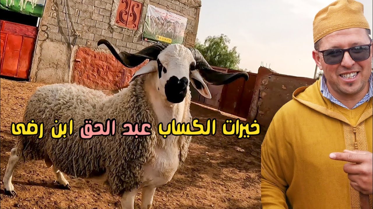 ثمن حولي العيد في ضيعة عبد الحق ابن رضى