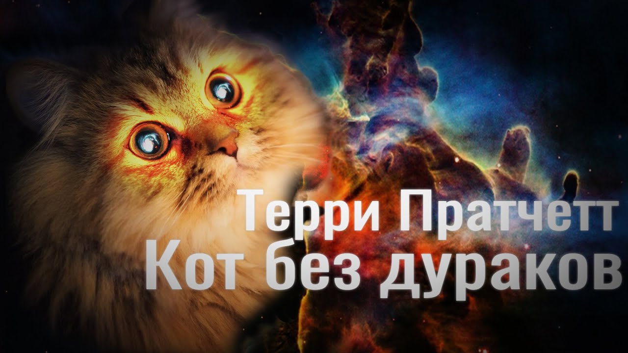Кот без дураков. Терри Пратчетт. Аудиокнига. Часть 2