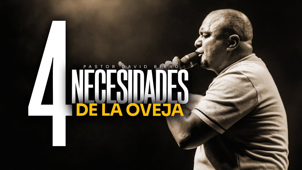 4 Necesidades de las Ovejas | Pastor David Bierd