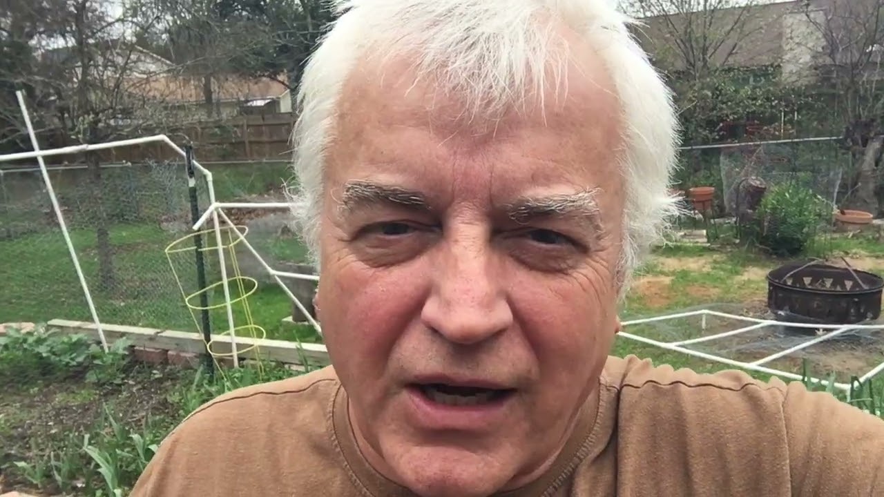 Almost Done Documenting My Gardening Adventure Project