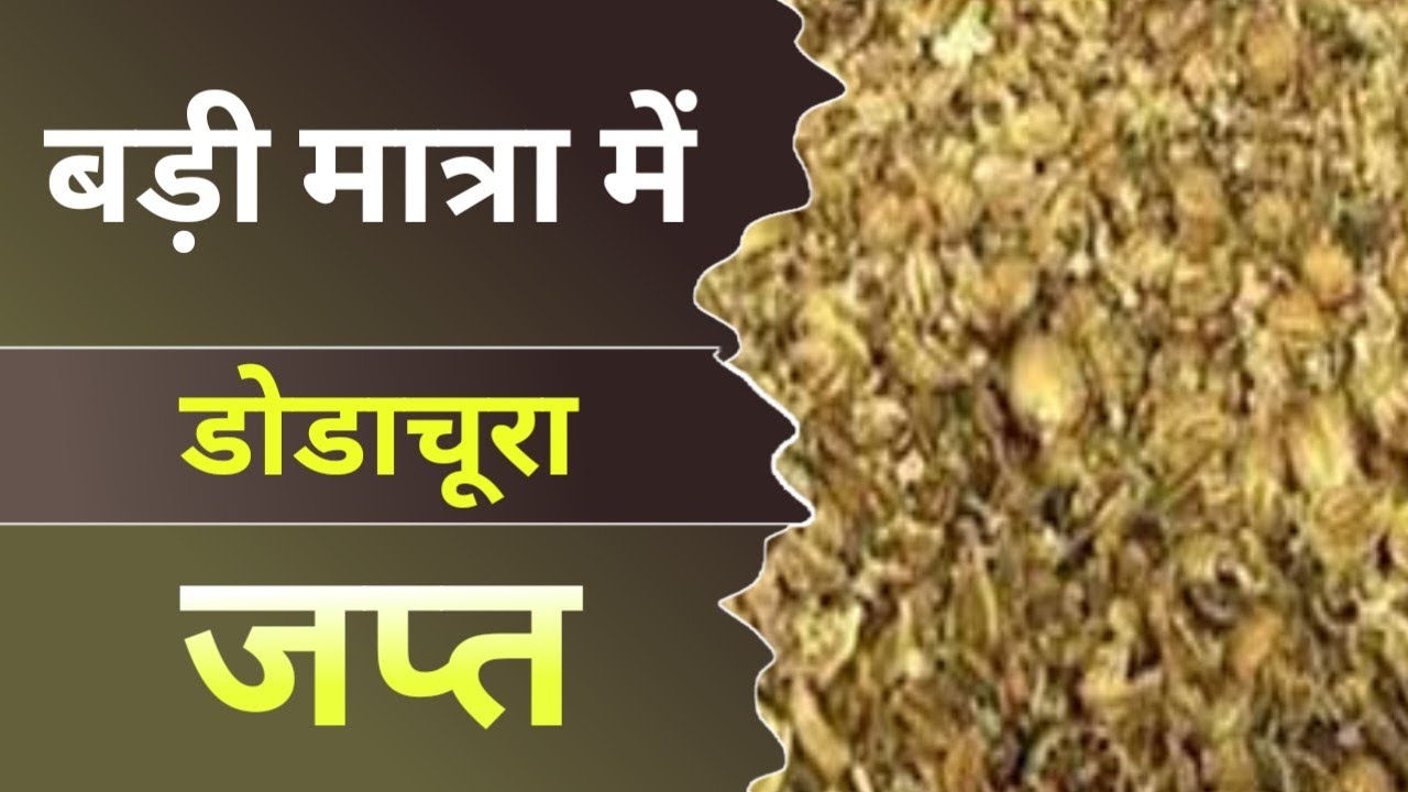 बड़ी मात्रा में डोडाचूरा जप्त || Dodachura seized from pickup vehicle || chotisadadi thana kshetra
