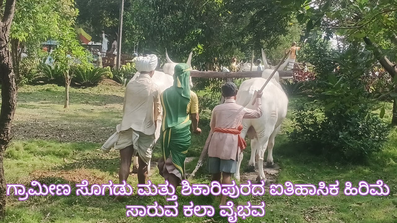 ಗ್ರಾಮೀಣ ಸೊಗಡು ಮತ್ತು ಶಿಕಾರಿಪುರದ ಐತಿಹಾಸಿಕ ಹಿರಿಮೆ ಸಾರುವ ಕಲಾ ವೈಭವ 