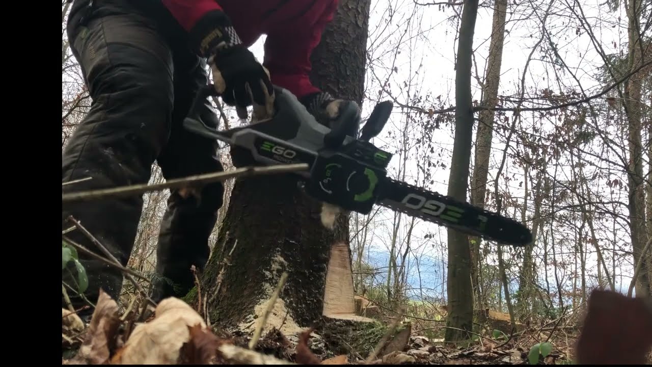 Fichte Fällen mit Ego power plus Akku Kettensäge (40cm) CS1614 / CS1610