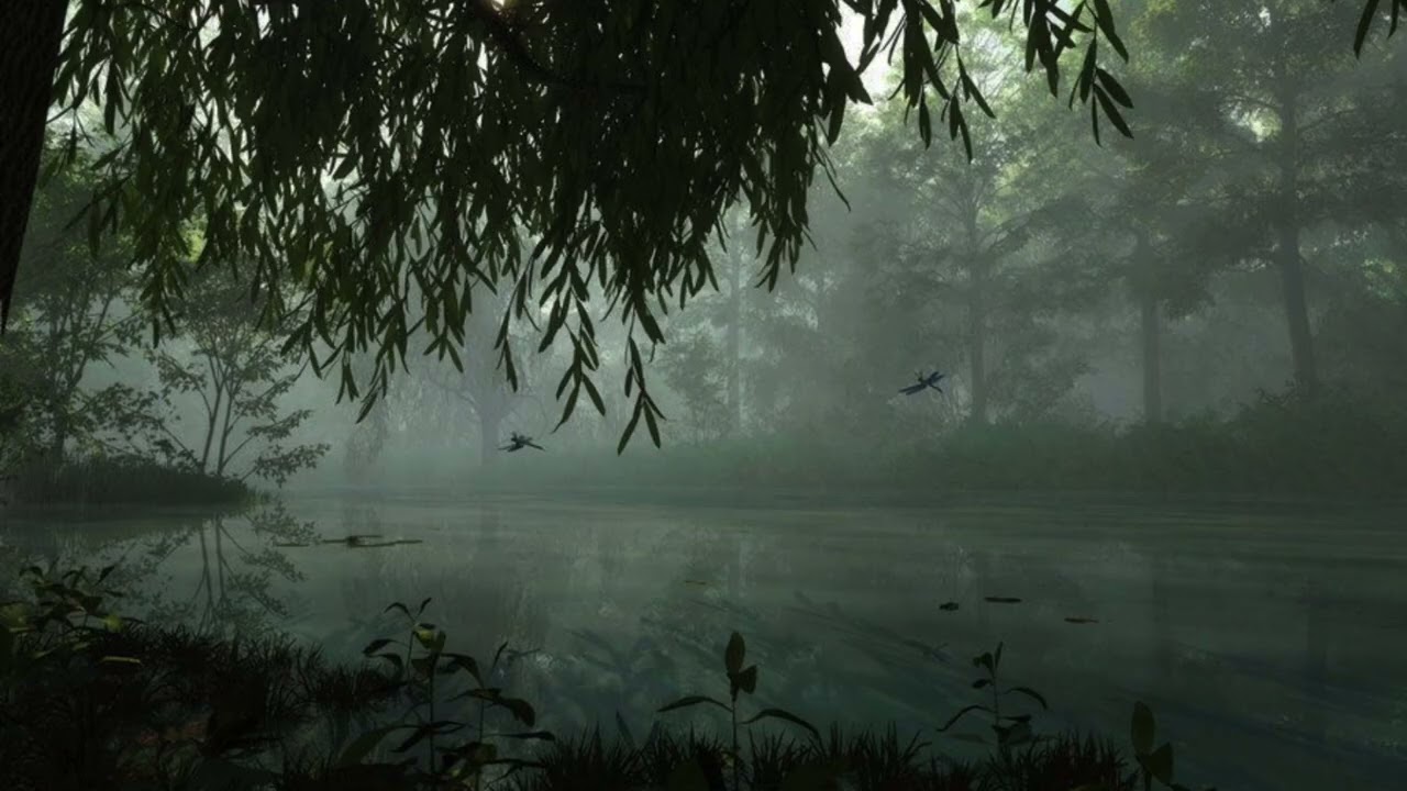 Long Rain Sounds (3 Hours) | Stress Relief & Deep Focus