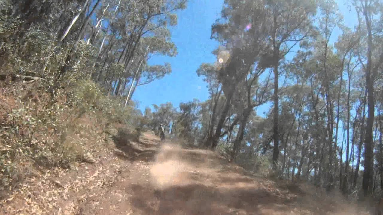 Up Zeka Spur trk