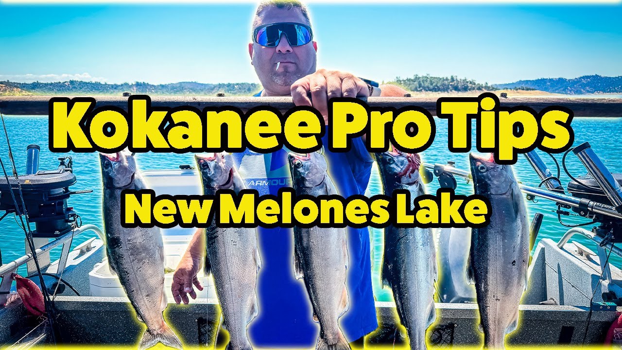 Новые советы по ловле кокани от Melones: профессиональные рекомендации, оснастка и захватывающие ...