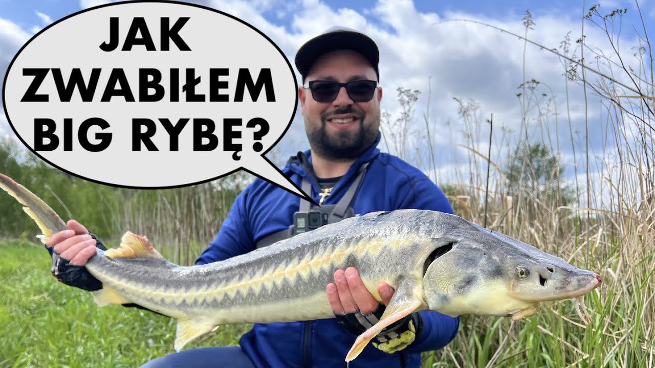 Method feeder i feeder bomb w maju. Piekny karp i jesiotr. Jak zwabiliśmy duże ryby?