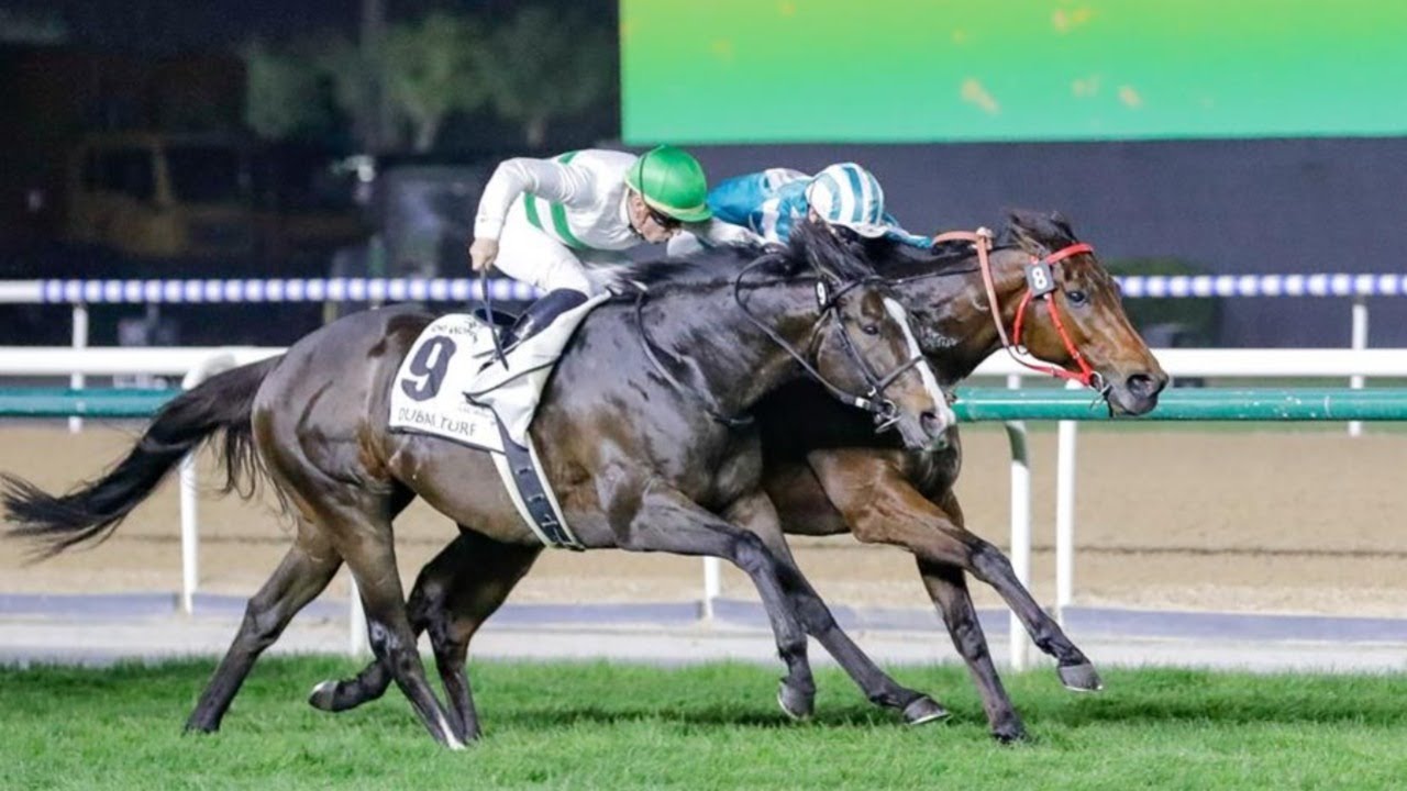 SOUL RUSH chins ROMANTIC WARRIOR in Dubai Turf
