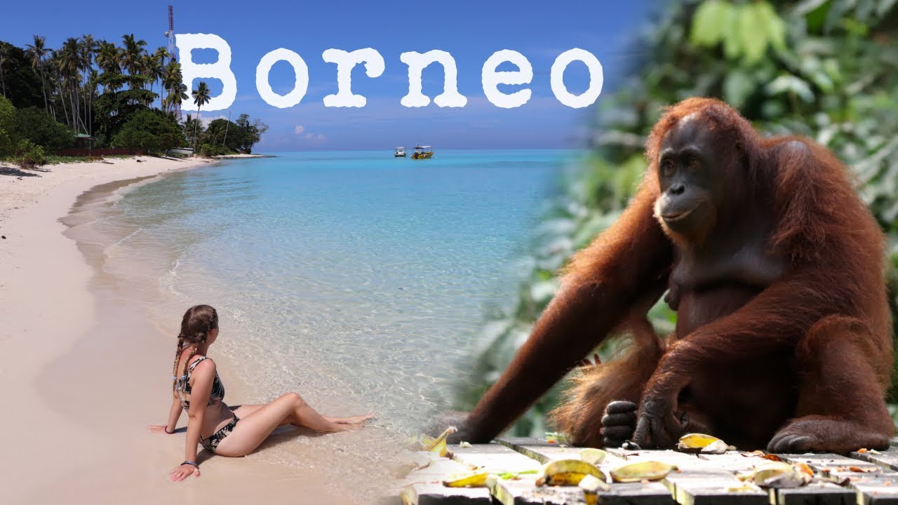 Borneo Malaysia Backpacking - Traumstrände und wilde Tiere im Regenwald | Beste Reiseroute 2024