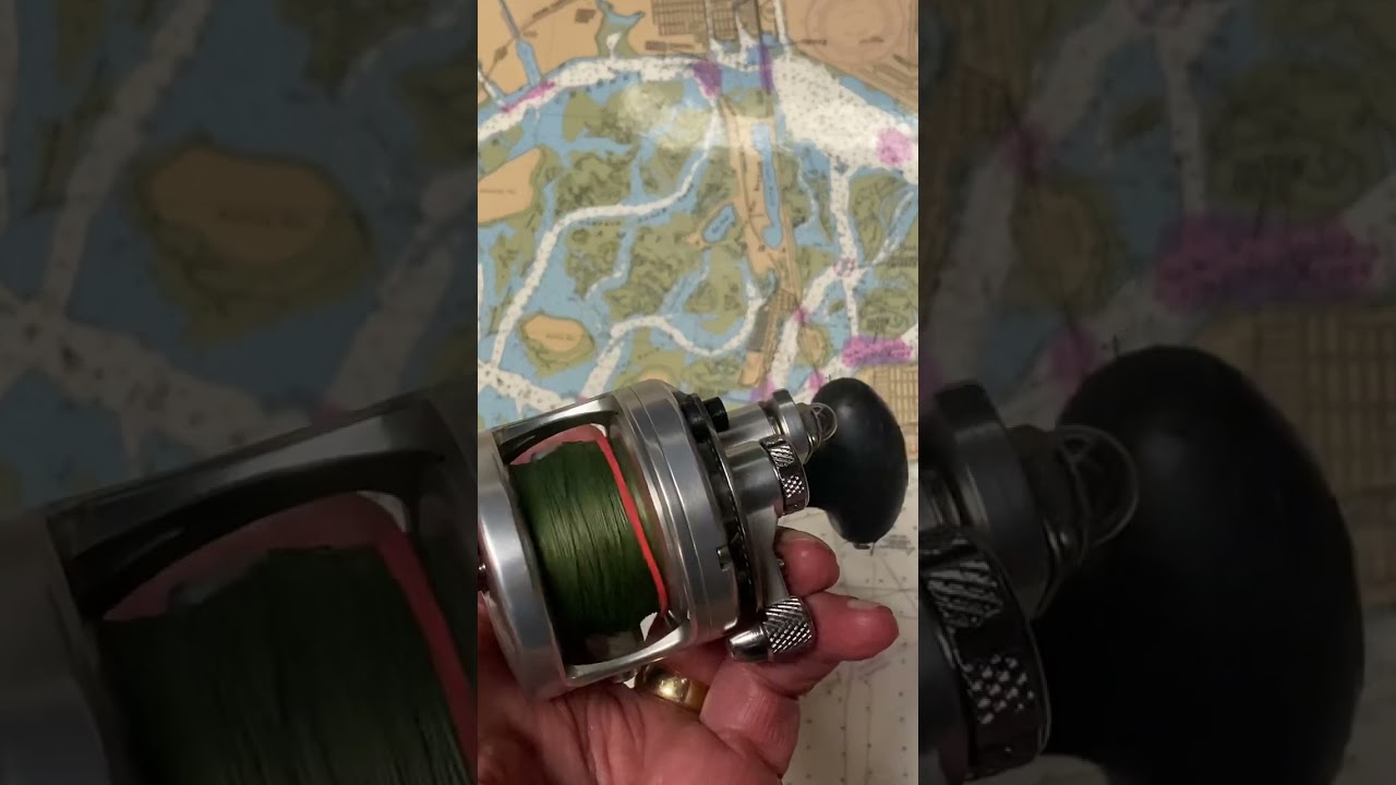 Avet SXJ lever drag fishing reel of the day #fishing #fish #