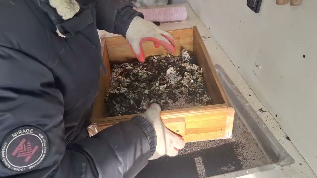 Отбор Личинки и Отсев ПЖВМ ОГНЁВКИ. Зима самое время...